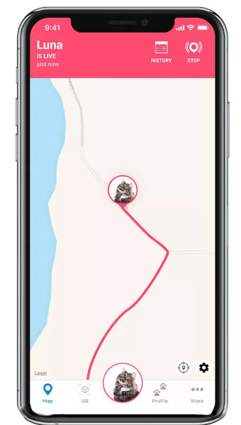 live tracking GPS tracker Katze
